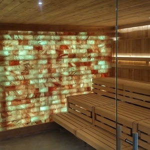 Biosauna