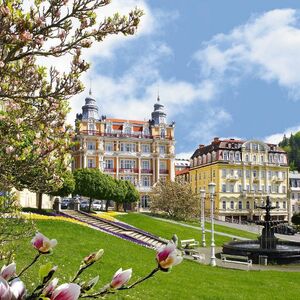 Hvĕzda Ensana Health Spa Hotel in Marienbad